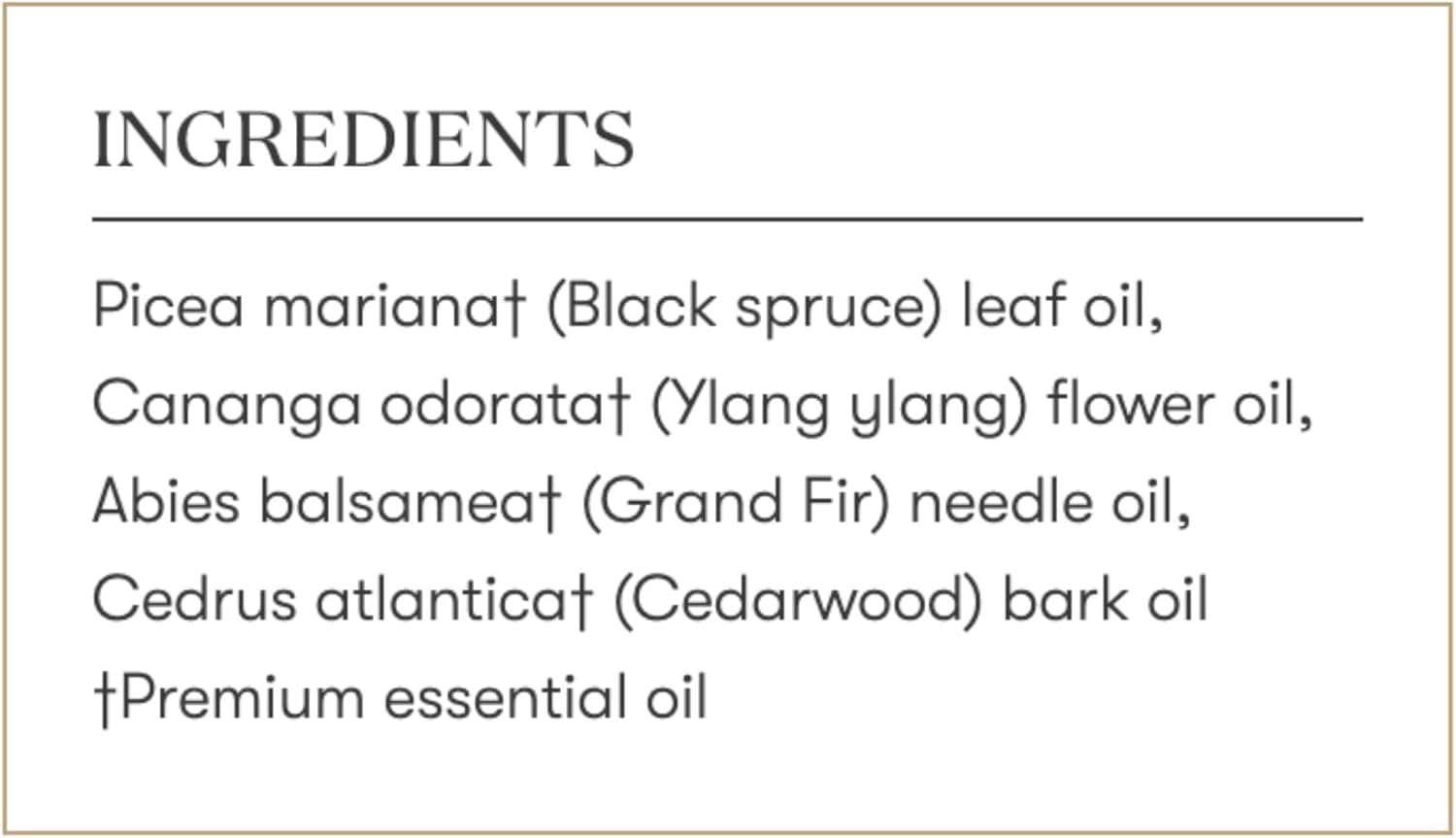 Young Living Sacred Mountain Essential Oil Blend | 15 ml | Inspiring and Grounding Aroma | Perfect for Diffusers or Topical Use | Seed to Seal Quality