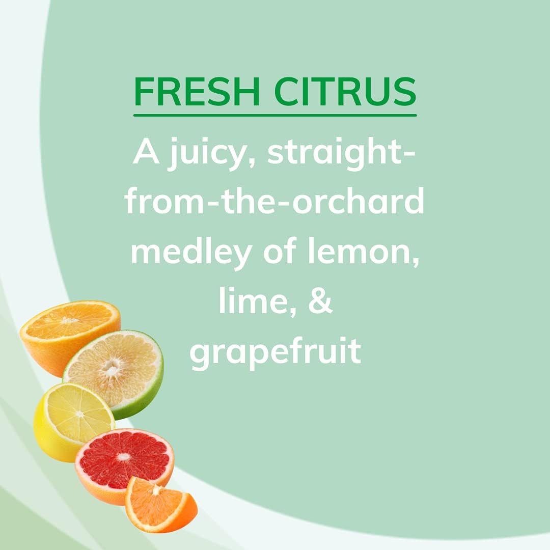 Citrus Magic Solid Air Fresheners, Fresh Citrus, 20 Ounce, Pack of 2