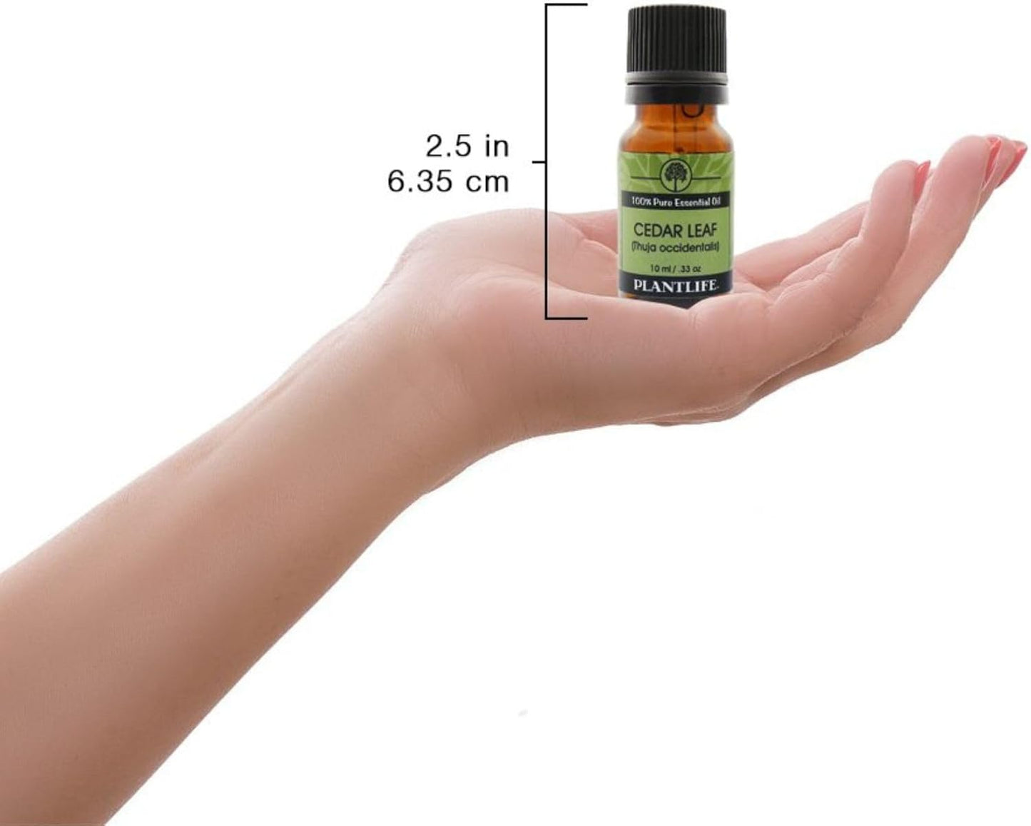 Plantlife Cedar Leaf Aromatherapy Essential Oil - Straight from The Plant 100% Pure Therapeutic Grade - No Additives or Fillers - 10 ml