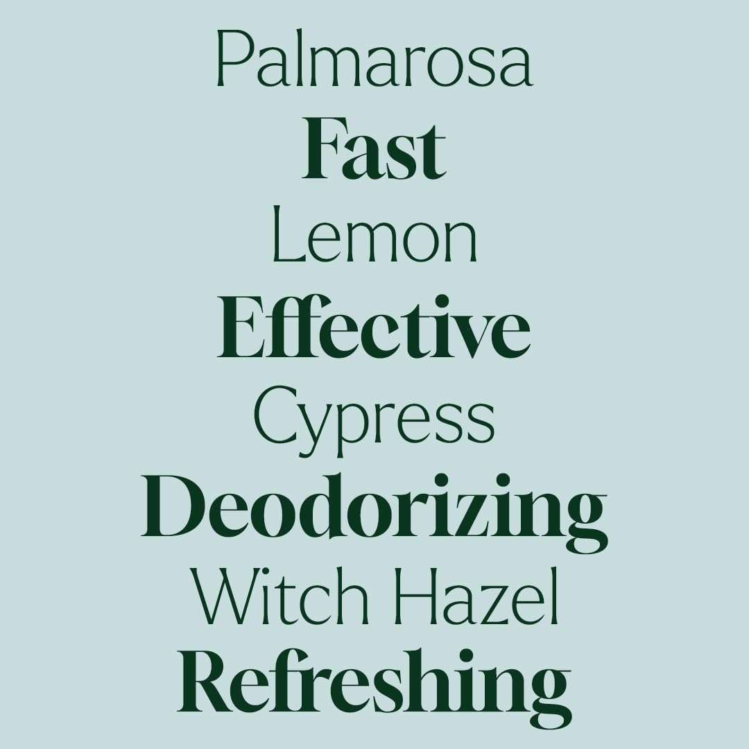 Plant Therapy Home Deodorizing Room Spray 4 oz Quick, On-The-Go Freshness, Safe & Gentle for Everyday Use, Free from Harsh Chemicals & Synthetic Fragrances