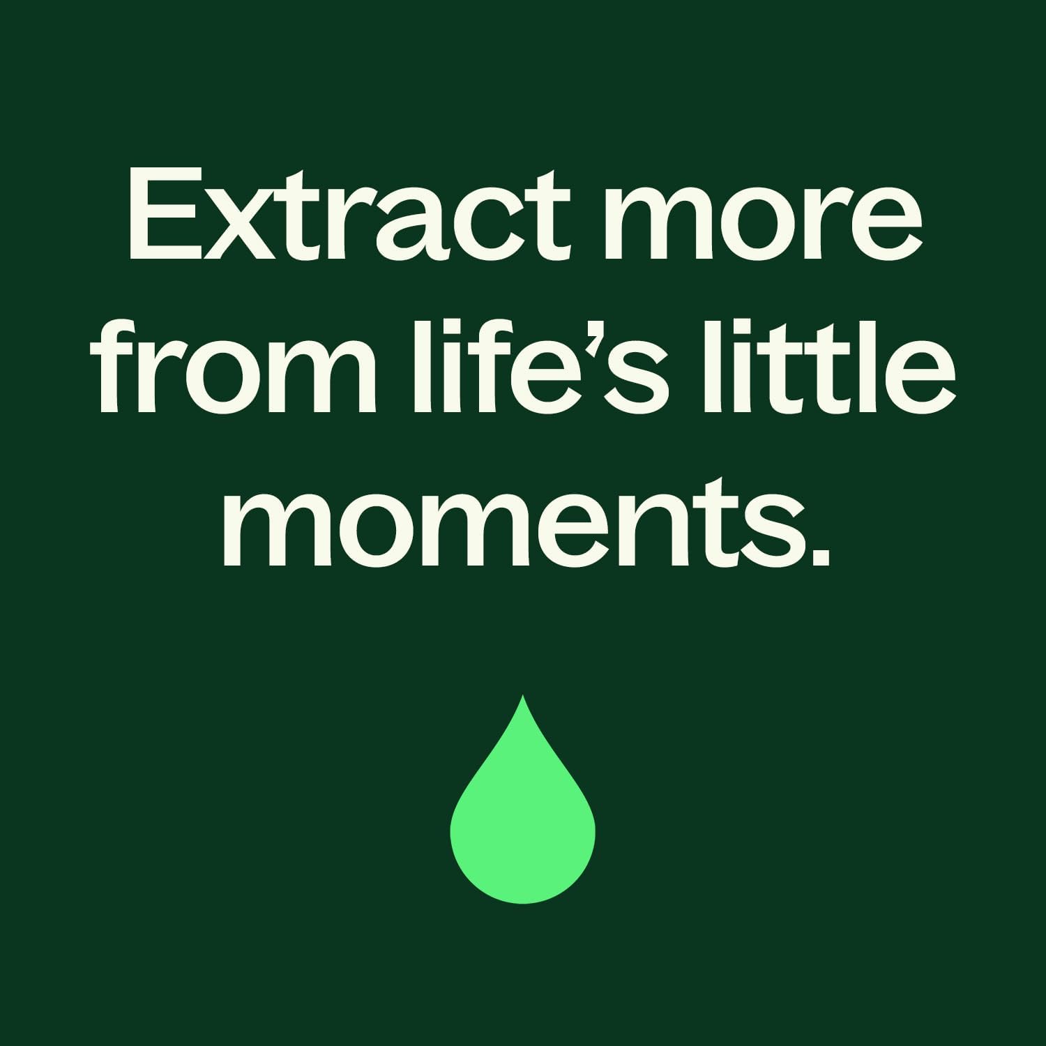 Plant Therapy Lime Twist Summer Essential Oil Blend 10 mL (1/3 oz) Lively & Energetic, Mood-Boosting Sweet Citrus, Sets an Upbeat, Positive Atmosphere