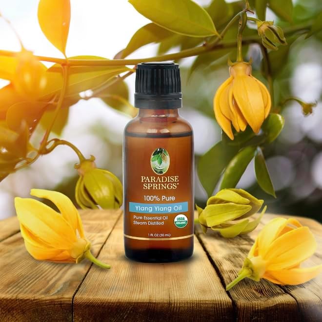 Paradise Springs Organic Ylang Ylang Essential Oil, 100% Pure and Natural Organic Ylang Ylang Essential Oil for Diffusers for Home Aromatherapy, Massage, Humidifiers, 1 fl oz (30ml)