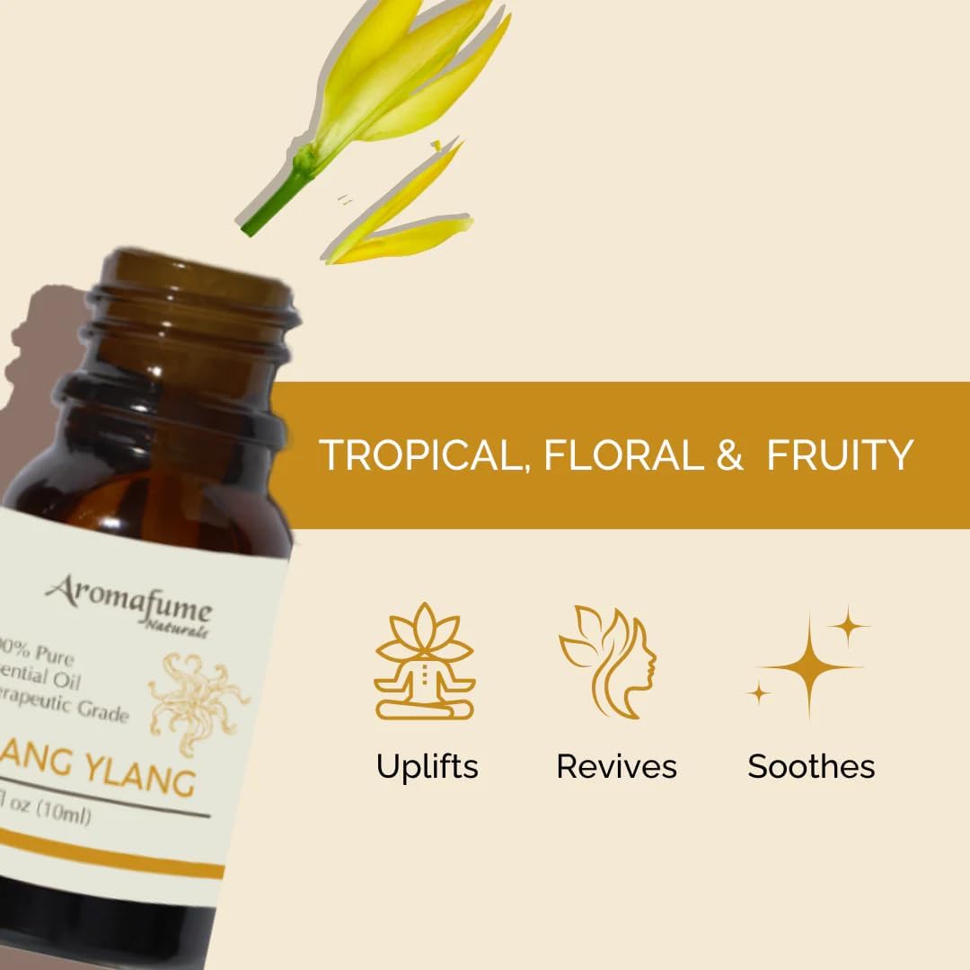 AROMAFUME Ylang Ylang Essential Oil - 100% Natural, Therapeutic Grade Essential Oils - Pure, Tropical Aromatherapy Oil for Home Diffusers - Gifts for Her - 10ml