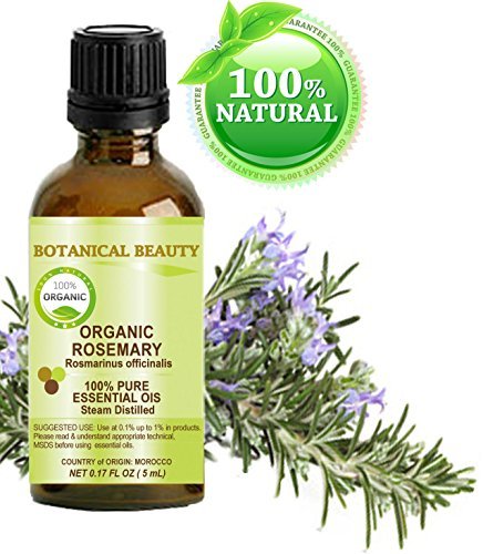 Organic ROSEMARY Essential Oil. 100% Pure Therapeutic Grade, Premium Quality, Undiluted, Steam Distilled. 0.17 Fl.oz.- 5 ml. by Botanical Beauty.