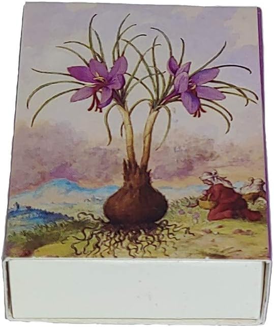 Decorative Mini Bontanical Floral Matchbox Set of 6 Matches for Candle and Fireplace Wood Matches