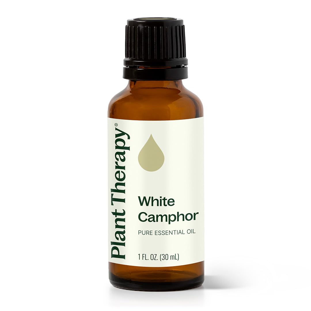 Plant Therapy White Camphor Essential Oil 30 mL (1 oz) 100% Pure, Undiluted, Supports Respiratory Health