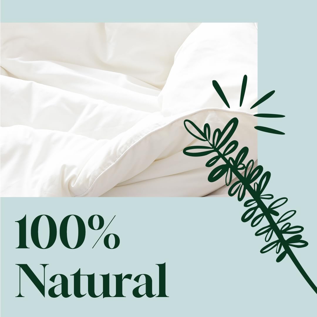 Plant Therapy Home White Linen Spray, Clean & Refreshing Aroma, Great for Sheets, Curtains, and Upholstery, One-of-a-kind Natural Fragrance 8 oz