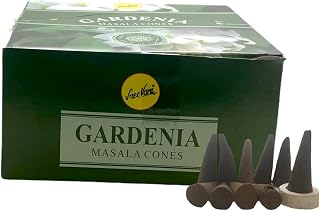 Sreevani Natural Masala Incense Cones and Holder Bundle, 120 Cones Total, Gardenia