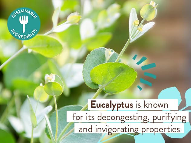 BABO Botanicals Eucalyptus Remedy 2-in-1 Bubble Bath & Wash - Invigorating Eucalyptus, Rosemary & Peppermint - for All Ages - EWG Verified - Vegan