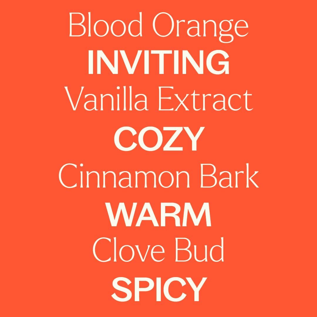 Plant Therapy Pumpkin Spice Fall Essential Oil Blend 10 mL (1/3 oz) Warm & Cozy Blend of Spices, Perfect Fall Scent, Mood-Boosting & Inviting