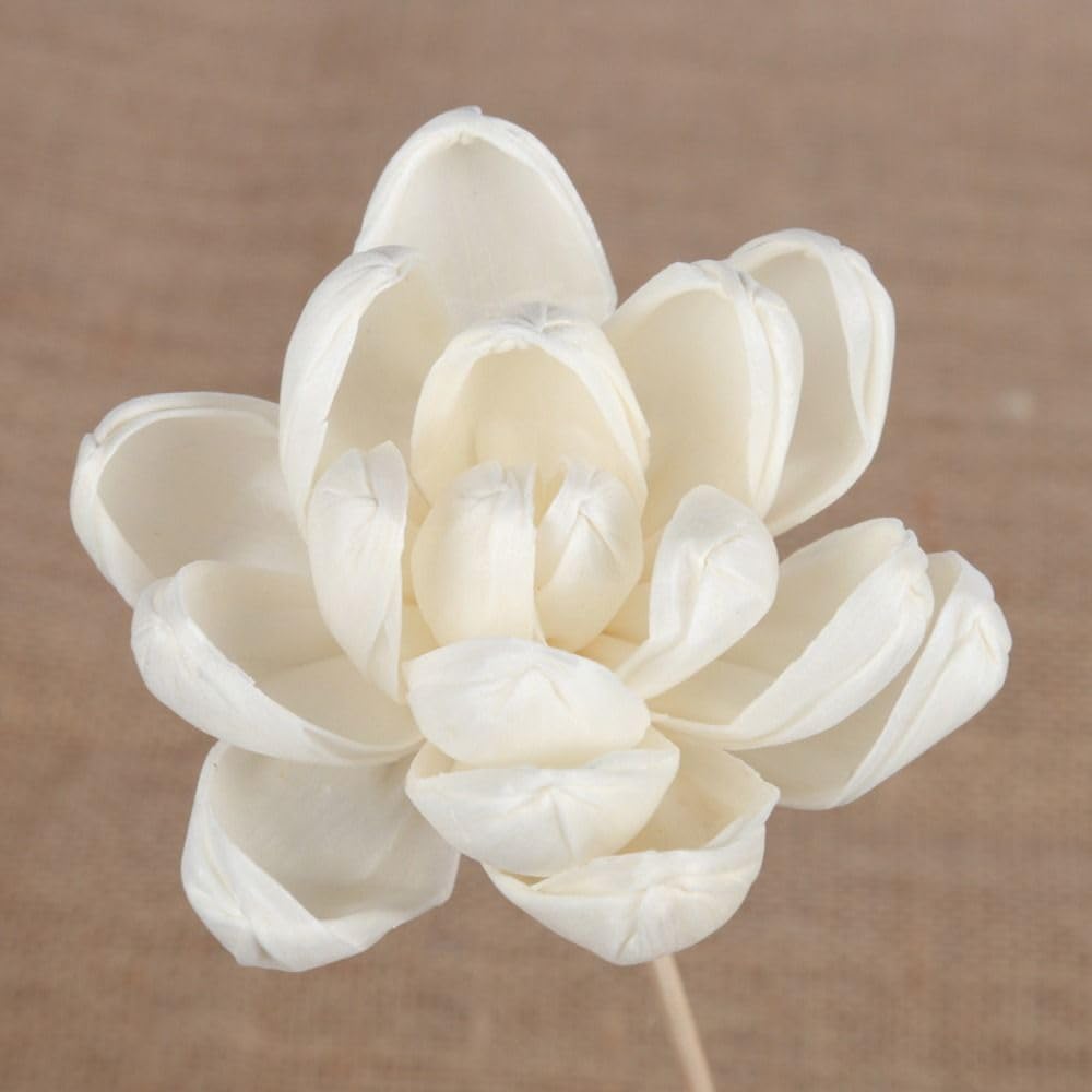 Rattan Diffuser Flowers 1/4-Pack | Aromatherapy Sticks for Essential Oils, Handmade Home Fragrance Decor with Natural Rattan Stems(1)
