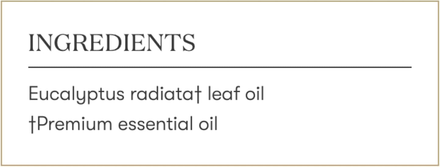 Young Living Eucalyptus Radiata Essential Oil - 15 ml - Breathe Easy with Refreshing Aroma - Ideal for Relaxing Bedtime Routine and Head, Neck, Chest Application