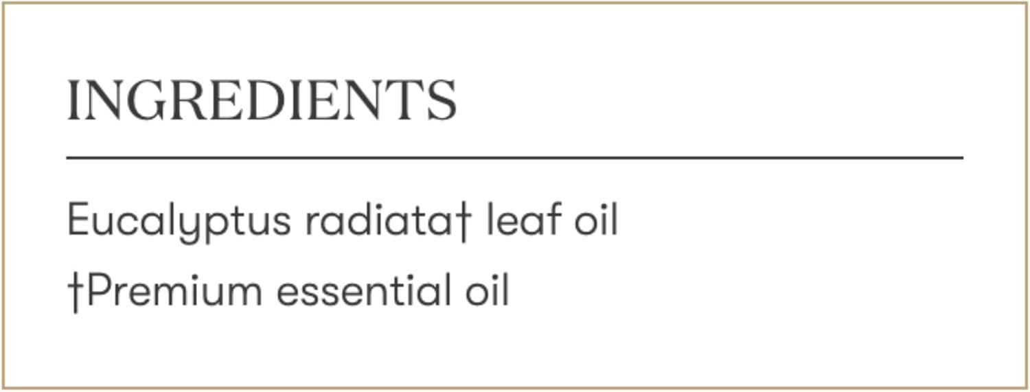 Young Living Eucalyptus Radiata Essential Oil - 15 ml - Breathe Easy with Refreshing Aroma - Ideal for Relaxing Bedtime Routine and Head, Neck, Chest Application