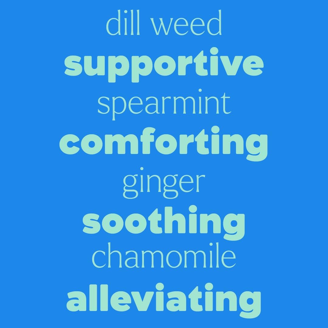 Plant Therapy Tummy All Better Roll-On 30 mL (1 oz) Pre-Diluted and Mess-Free for Easy Application, Supports a Healthy Digestive System, Soothes Stomach Cramps, Great for Travel-Related Queasiness
