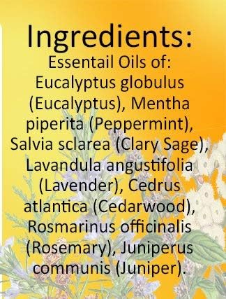 Easy Breathe Essential Oil Blend with Peppermint, Eucalyptus, Clary Sage, Rosemary, Cedar, Aromatherapy by Creation Pharm