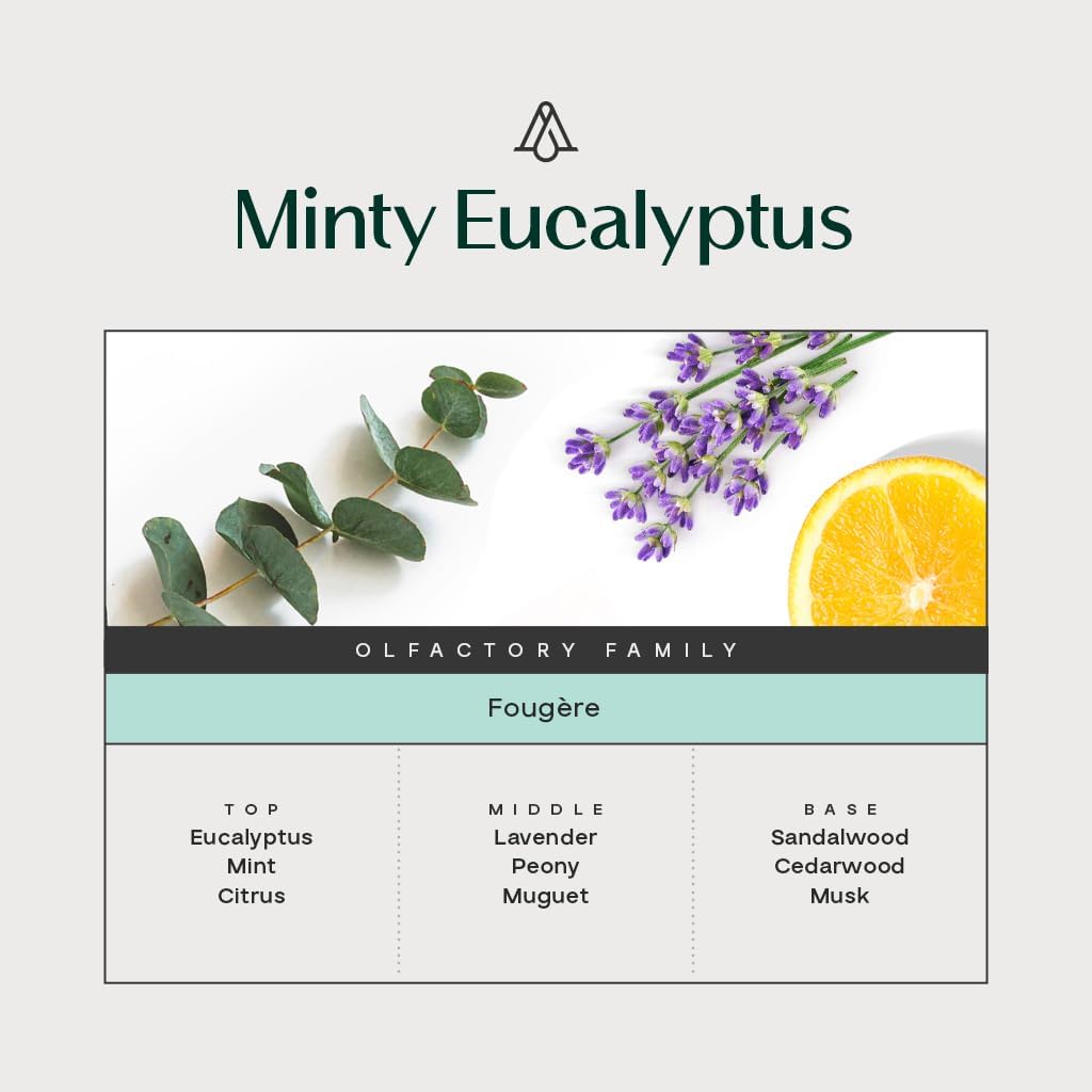 AromaPlan All Natural Room Spray, Minty Eucalyptus- Non Toxic& Long Lasting, Concentrated 5-Star Hotel Room Spray, Odor Eliminator- Home, Room, Couch, Pillow, Fabric- Air Freshener Spray(100 ml)