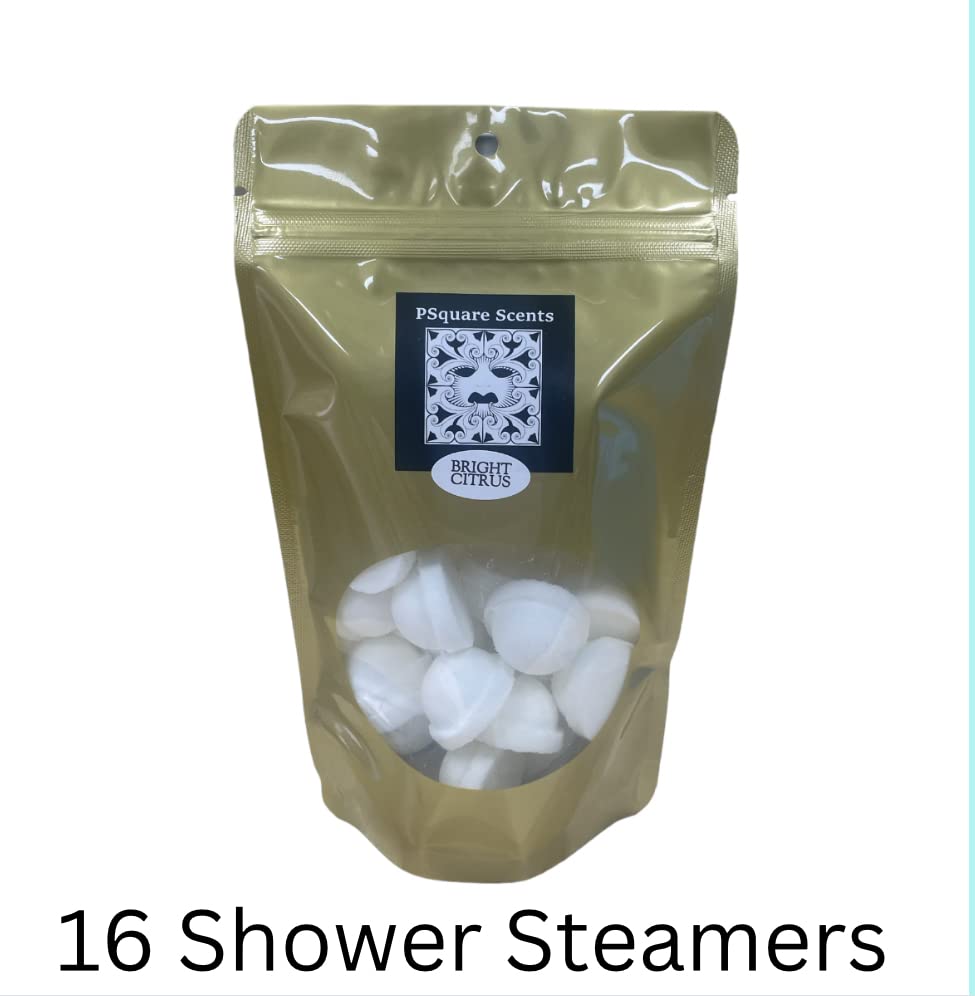 Shower Steamers - Spa Time - Spa Rocks - Essential Oil Bombs with Menthol (WINTERGREEN)