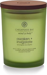 Chesapeake Bay Candle PT40886 Scented Candle Awaken + Invigorate (Lemongrass Eucalyptus) Medium Green Home Décor