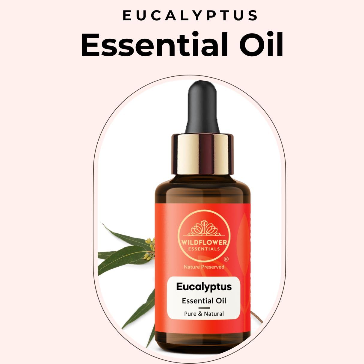 Eucalyptus Essential Oil (Eucalyptus globulus) 100% Natural Steam Distilled Oil For Face, Skin, Hair, Body | with Glass Dropper 1.01 Fl Oz (30ml)