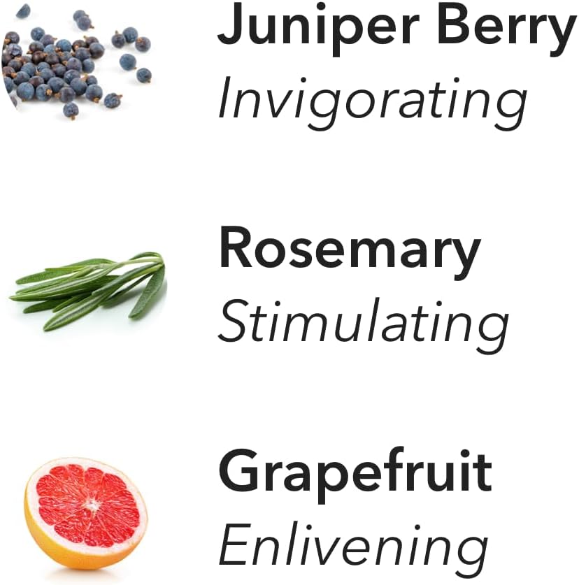 Aera Revive Aromatherapy Essential Oil Home Fragrance Scent Refill - Notes of Juniper Berry, Rosemary and Grapefruit - Works with The Aera Diffuser