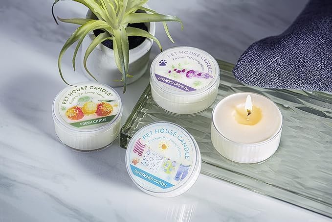 Pet House Mini Candles Made with Natural Soy Wax, Plant Based, Pet Friendly Scented Candles, Citrus Variety Pack of 3