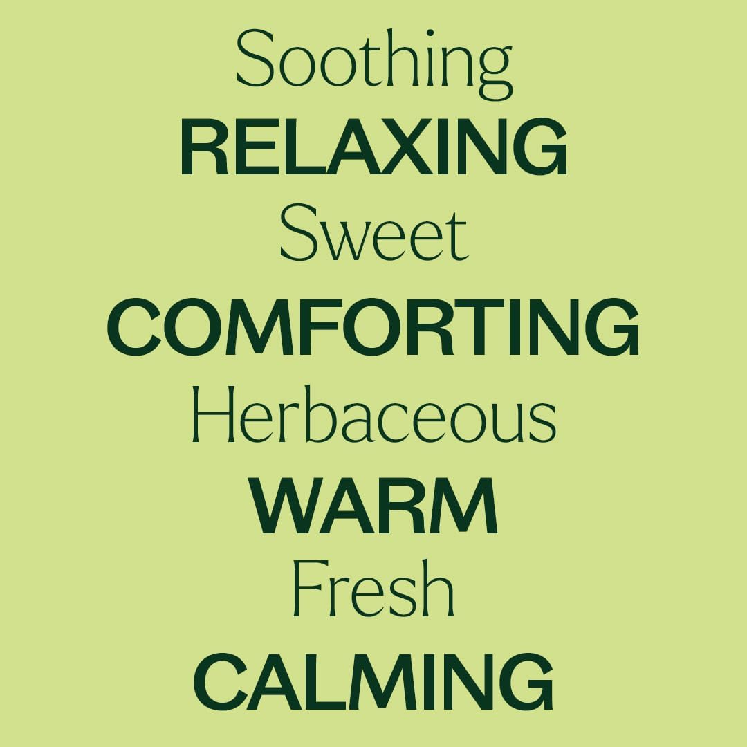 Plant Therapy Sweet Marjoram Essential Oil 30 mL (1 oz) 100% Pure, Undiluted, Soothing Aromatherapy for Digestive Support and Sore Muscles