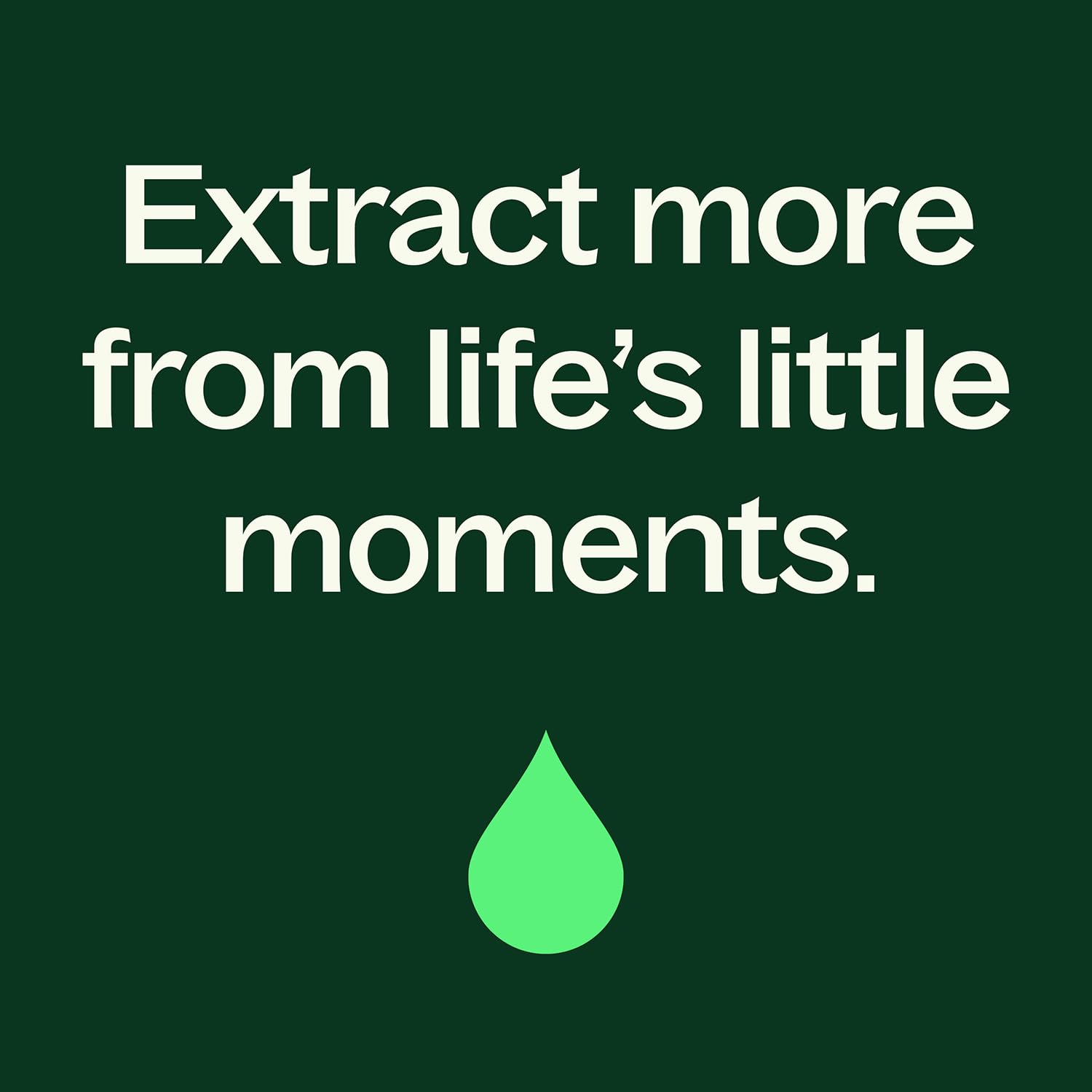 Plant Therapy Organic Clove Bud Essential Oil, 10 mL (1/3 oz), 100% Pure and Undiluted, USDA Certified Organic, Fresh and Spicy Scent, Great for Aromatherapy