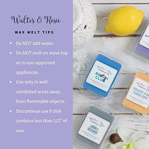 Walter & Rosie - Beach Club Wax Melt - 3 Pack - Inspired by the Beach Club Resort - Soy Wax Blend - Up to 18 hrs - Highly Fragrant Wax Melts