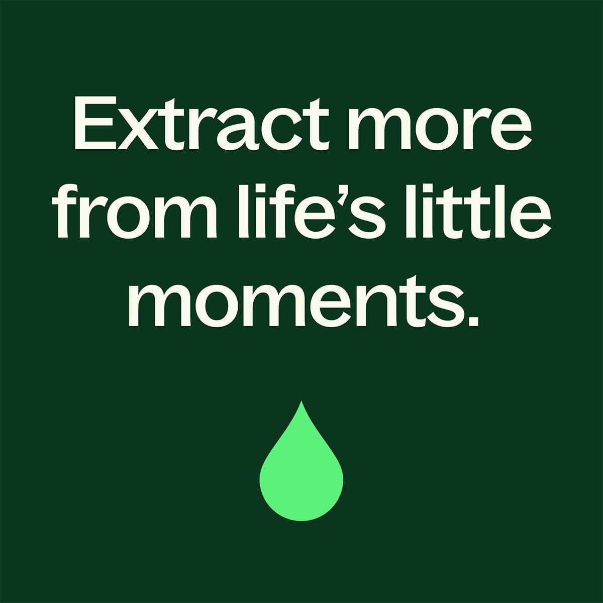 Plant Therapy Organic Lavender & Frankincense Castor Body Oil Roll-On 30 mL (1 oz) Soothes Dryness, and Skin Irritation, Calming Aroma, Relaxation, Pure, Organic Formula, Healing Benefits