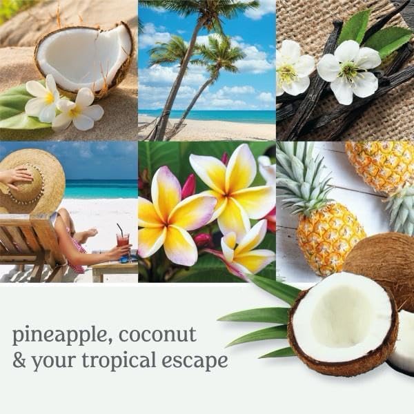 Yankee Candle Coconut Beach Scented Small Tumbler, Single Wick Jar Candle for Tropical Home Fragrance and Stress Relief, Clean Burning Soy Wax Blend, 4.3 Ounce (Pack of 2)