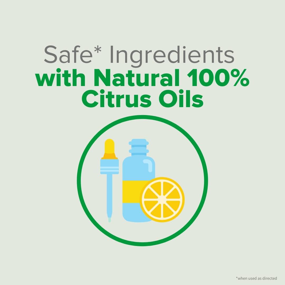 Citrus Magic Freshener Odor Eliminating Air Freshener Spray, 3 Ounce (Pack of 3), Fresh Citrus, 3 Count