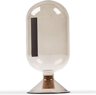 Premium Smoke Glass Cloche - Decorative Jar with Striker. Holder for Long Matches for Candles, Fireplace, Bathroom Accessories, Bath Salts. Includes Attachable Match Striker. (No Matches)