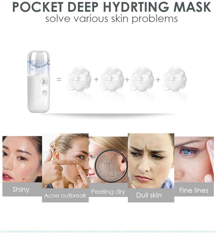 GIVERARE Nano Facial Steamer, Handy Mini Mister, USB Rechargeable Mist Sprayer, 30ml Visual Water Tank Moisturizing&Hydrating for Face, Daily Makeup, Skin Care, Eyelash Extensions-White