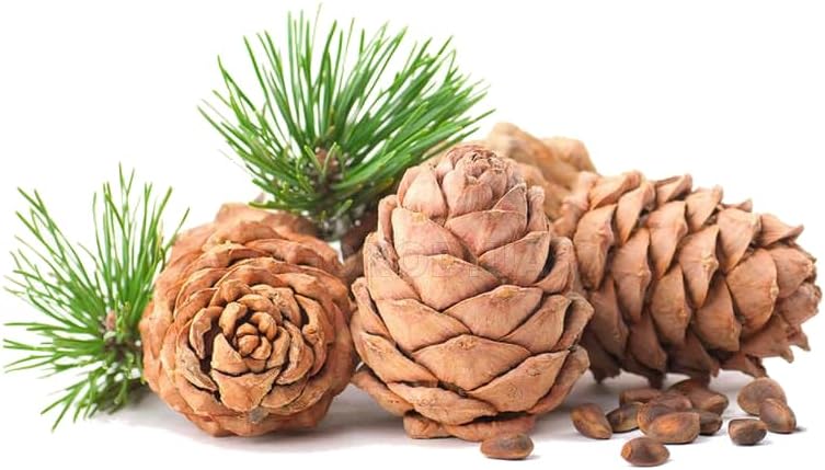 ArOmis Organic Cedarwood Essential Oil - 100% Pure Therapeutic Grade - Undiluted, Premium Oil - 150 Micron Filtered, Perfect for Aromatherapy Diffusers (10ml / .34 fl oz)