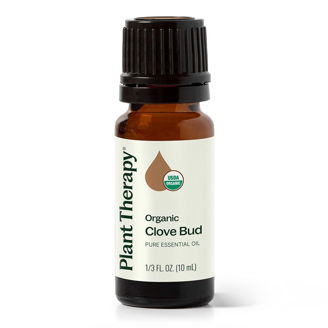 Plant Therapy Organic Clove Bud Essential Oil, 10 mL (1/3 oz), 100% Pure and Undiluted, USDA Certified Organic, Fresh and Spicy Scent, Great for Aromatherapy