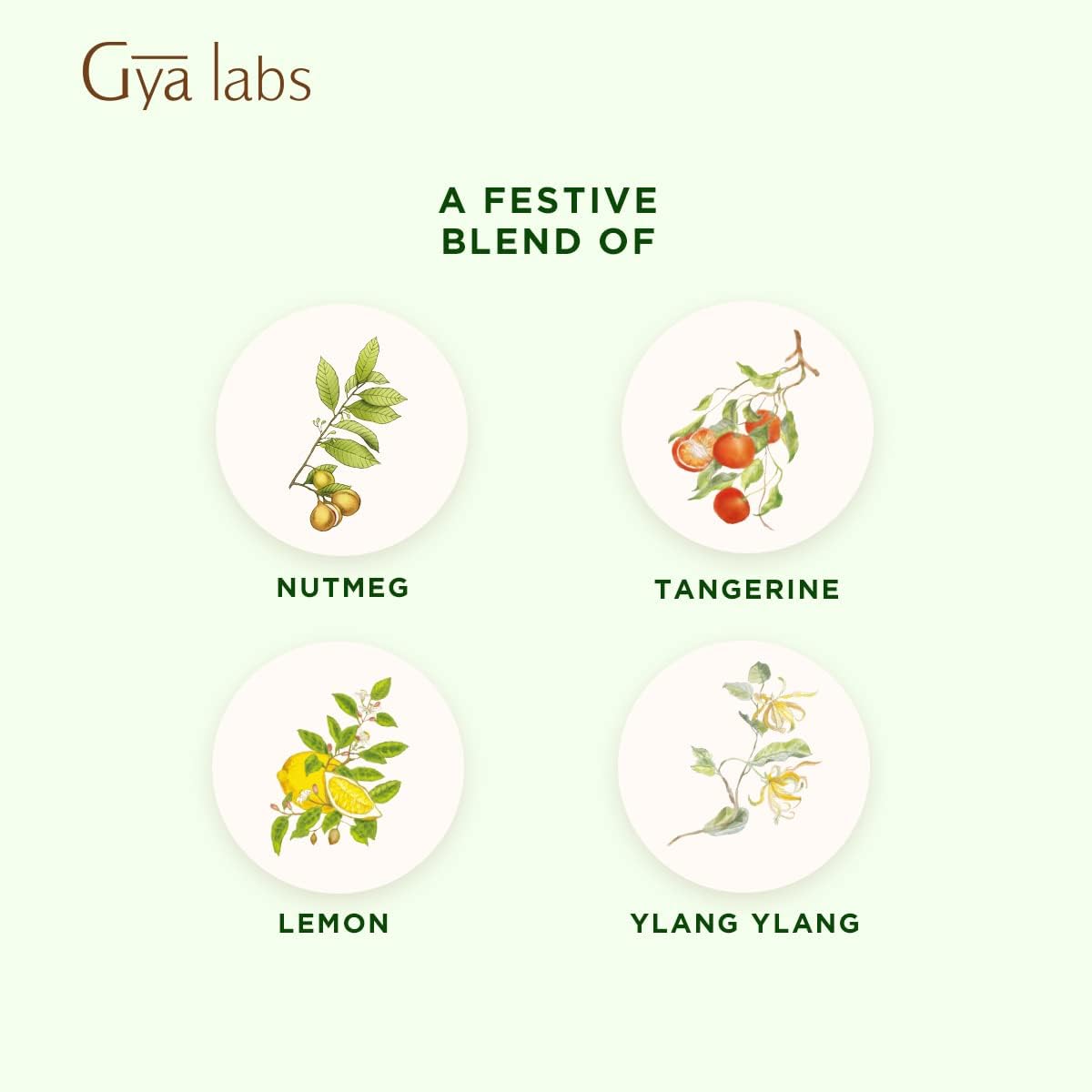 Gya Labs Happy Holiday Essential Oil Blend - Comforting & Uplifting, Festive Season Aromatherapy Oil (0.34 Fl Oz)