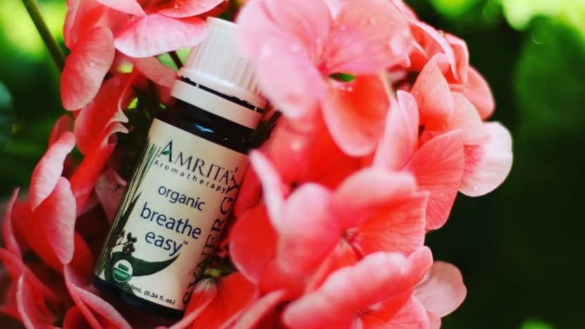 AMRITA Aromatherapy: Breath Easy Synergy Essential Oil Blend - USDA Certified Organic Essential Oil Blend of Citronella Nardus, Siberian Fir, & Sweet Eucalyptus Globulus - Pure & Undiluted -SIZE: 60ML