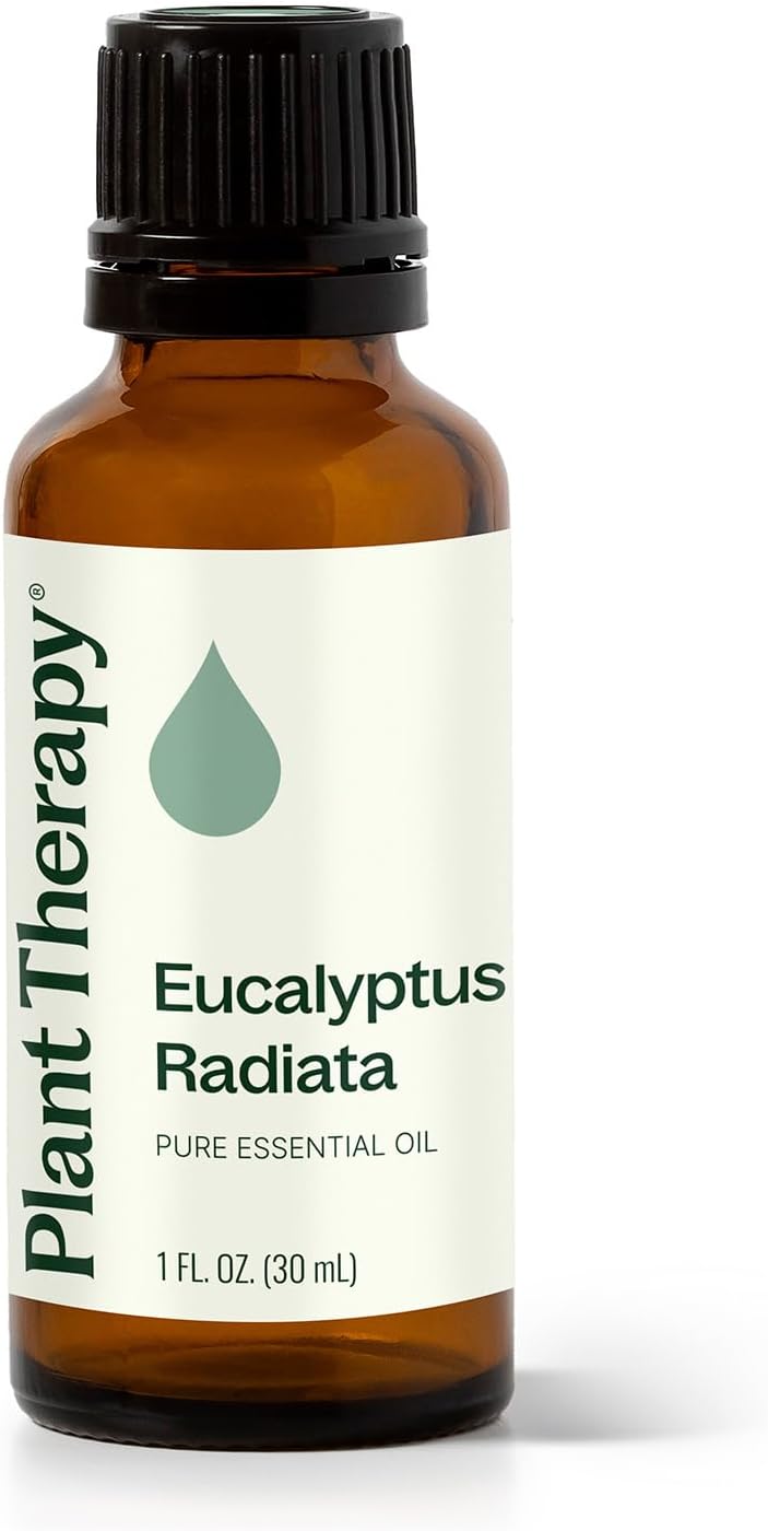 Plant Therapy Eucalyptus Radiata Essential Oil 30 mL (1 oz), 100% Pure, Undiluted, for Aromatherapy, Respiratory Support & Focus