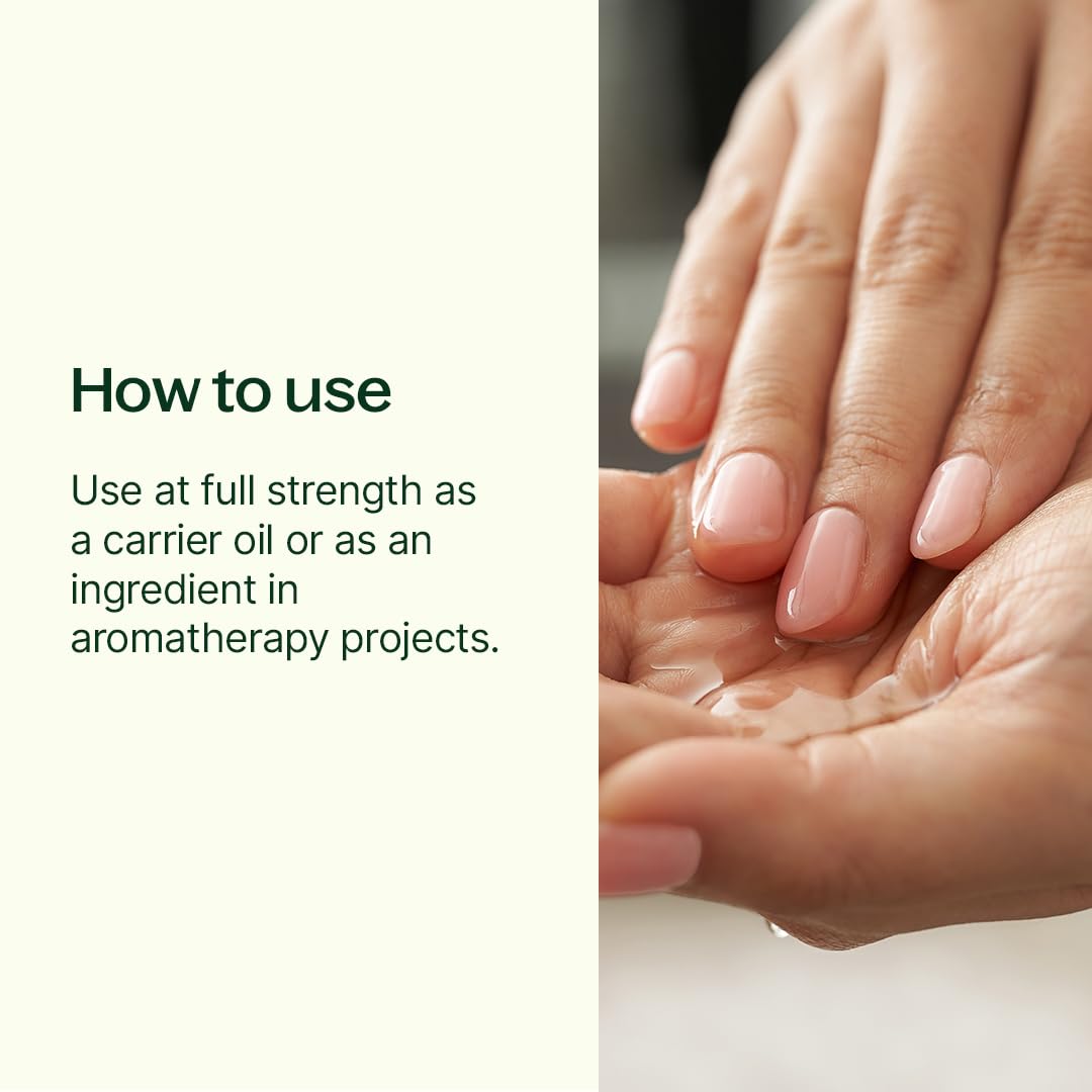 Plant Therapy Grapeseed Carrier Oil 4 oz Base Oil for Aromatherapy, Essential Oil or Massage use