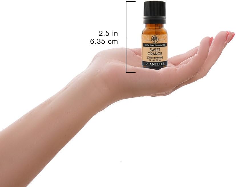 Plantlife Sweet Orange Aromatherapy Essential Oil - Straight from The Plant 100% Pure Therapeutic Grade - No Additives or Filters - 10 ml