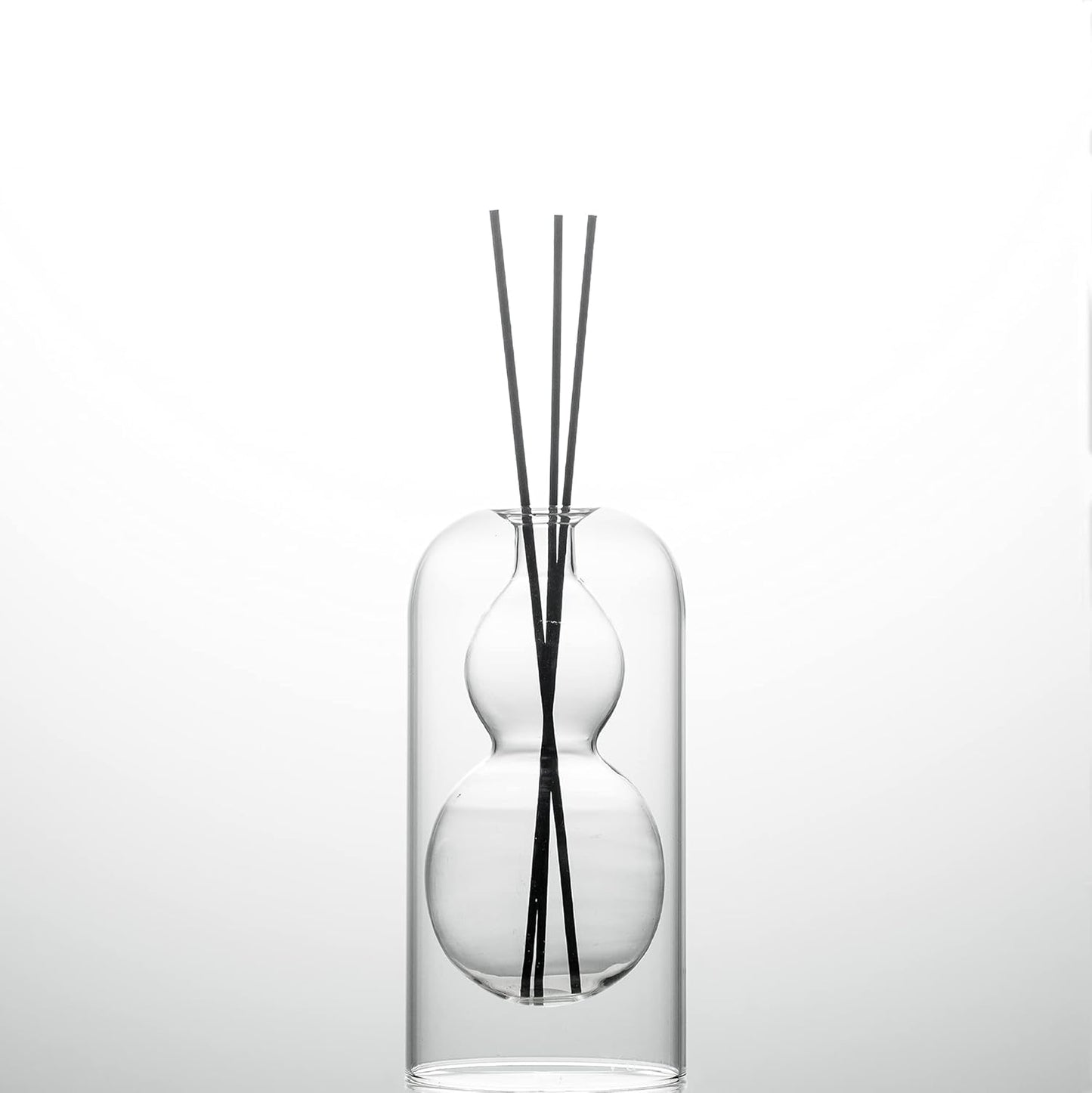 Empty Glass Fragrance Reed Diffuser Bottles,for Essential Oil, with 16pcs Black Reed Sticks,Minimalist Decor,2pcs/Set.