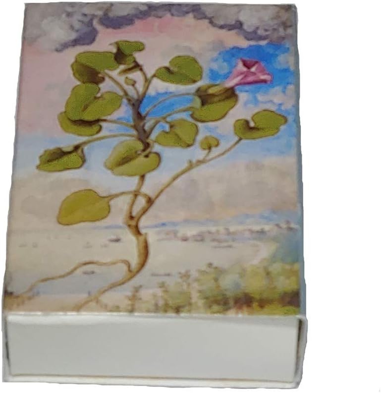 Decorative Mini Bontanical Floral Matchbox Set of 6 Matches for Candle and Fireplace Wood Matches