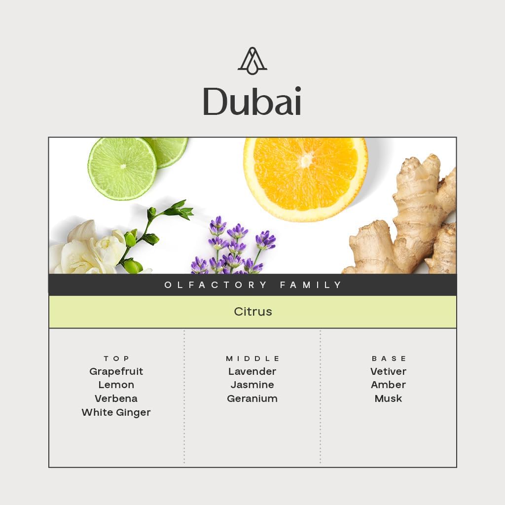 AromaPlan Hotel Scents Dubai,1.7 Fl Oz (50 ml)- Home Luxury Aroma & Hotel Fragrance Diffuser Oil- Hotel Diffuser Oil for Aromatherapy- USA Made, Bolder Aroma & Longer Lasting