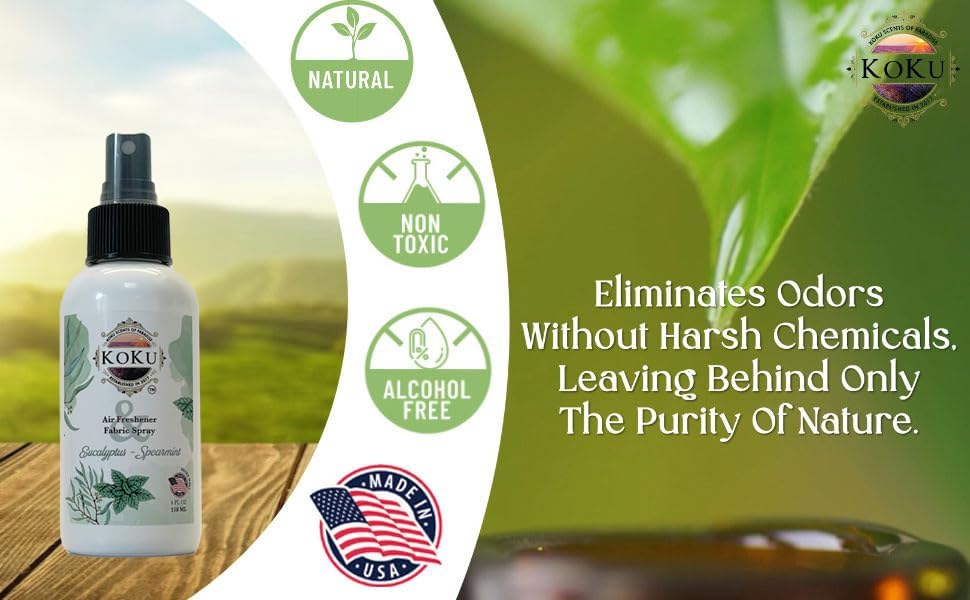 Eucalyptus Spearmint Air Freshener - Room Spray - Odor Eliminator - Deodorizer - Car Air Freshener - Home Spray - Linen Spray - Fabric Refresher - Non-Toxic - Alcohol Free - Made in USA (4 Oz)