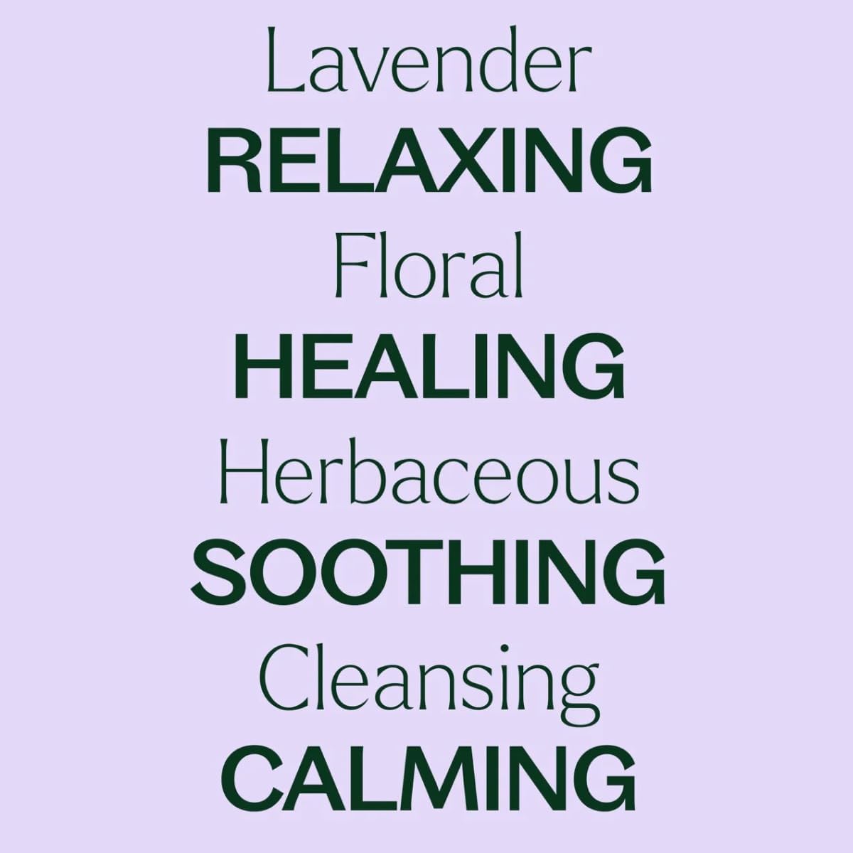 Plant Therapy Lavender Essential Oil 100% Pure, Pre-Diluted Roll-On, Natural Aromatherapy, Therapeutic Grade 10 mL (1/3 oz)