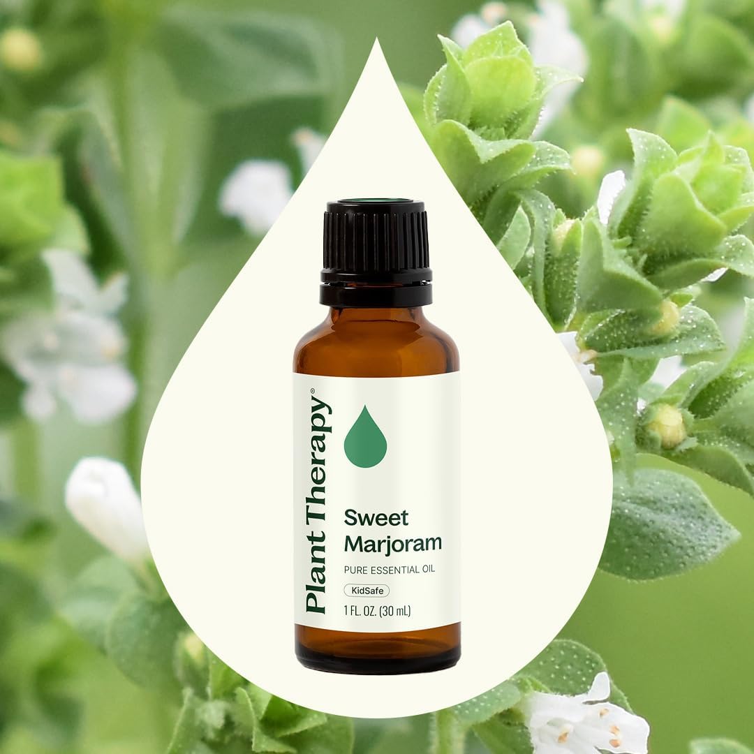 Plant Therapy Sweet Marjoram Essential Oil 30 mL (1 oz) 100% Pure, Undiluted, Soothing Aromatherapy for Digestive Support and Sore Muscles
