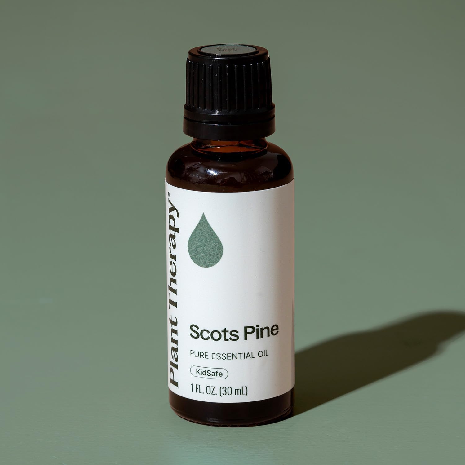 Plant Therapy Scots Pine Essential Oil 30 mL (1 oz) 100% Pure, Undiluted, Therapeutic Grade