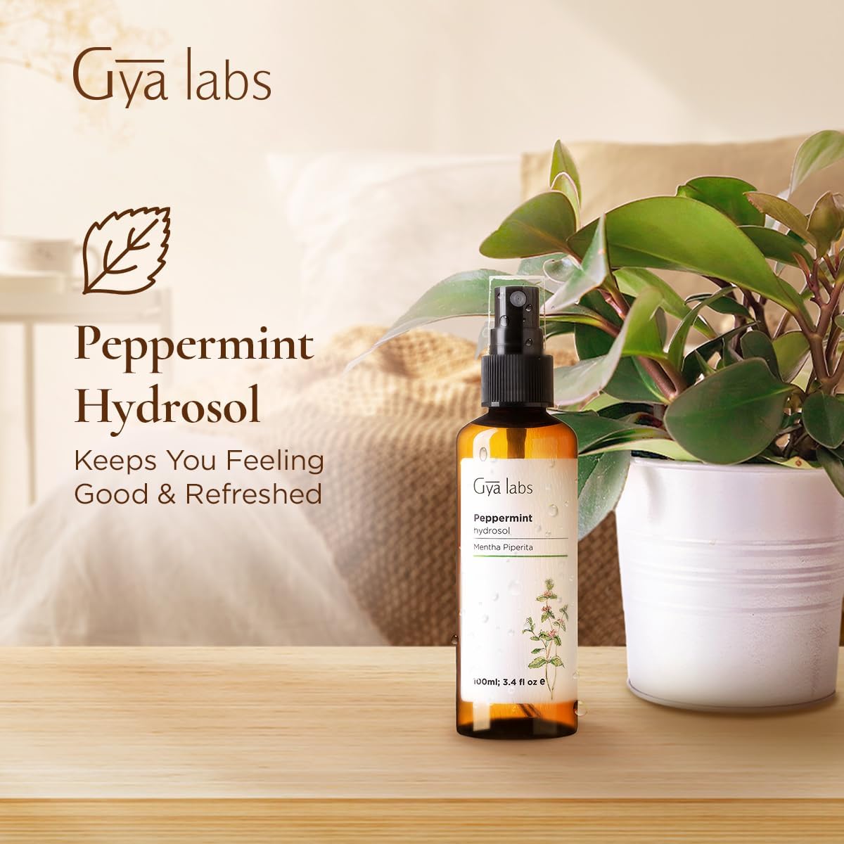 Gya Labs Peppermint Hydrosol - 3.4 Fl Oz - Hydrating Face & Body Mist for Skin Toner & Hair Refresher - As Pillow, Room & Linen Spray for Fresh Scent