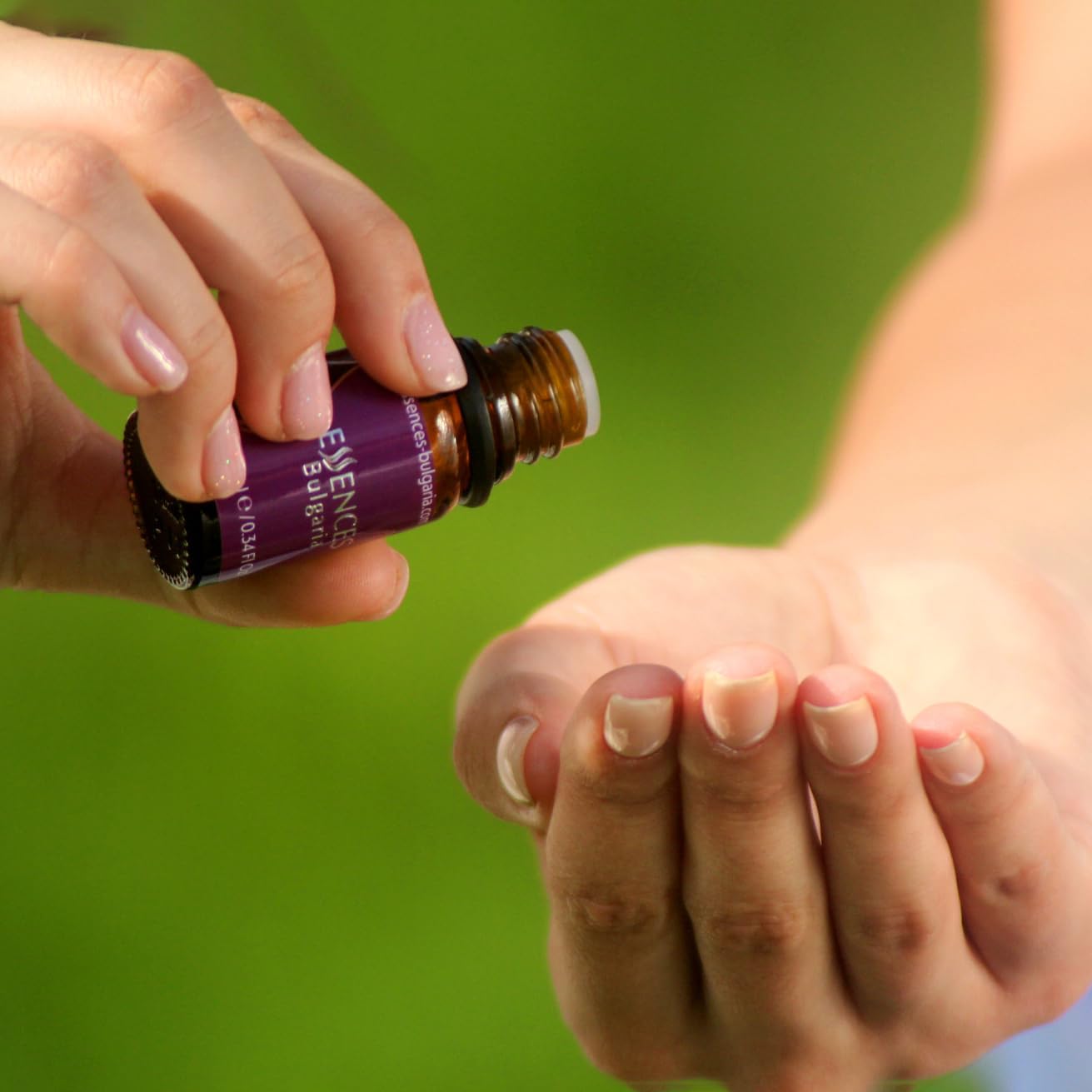 Essences Bulgaria Organic Mountain Savory Essential Oil 1/3 Fl Oz | 10ml | Satureja Montana | 100% Pure and Natural | Undiluted | Therapeutic Grade | Family Owned Farm | Steam-Distilled | Non-GMO