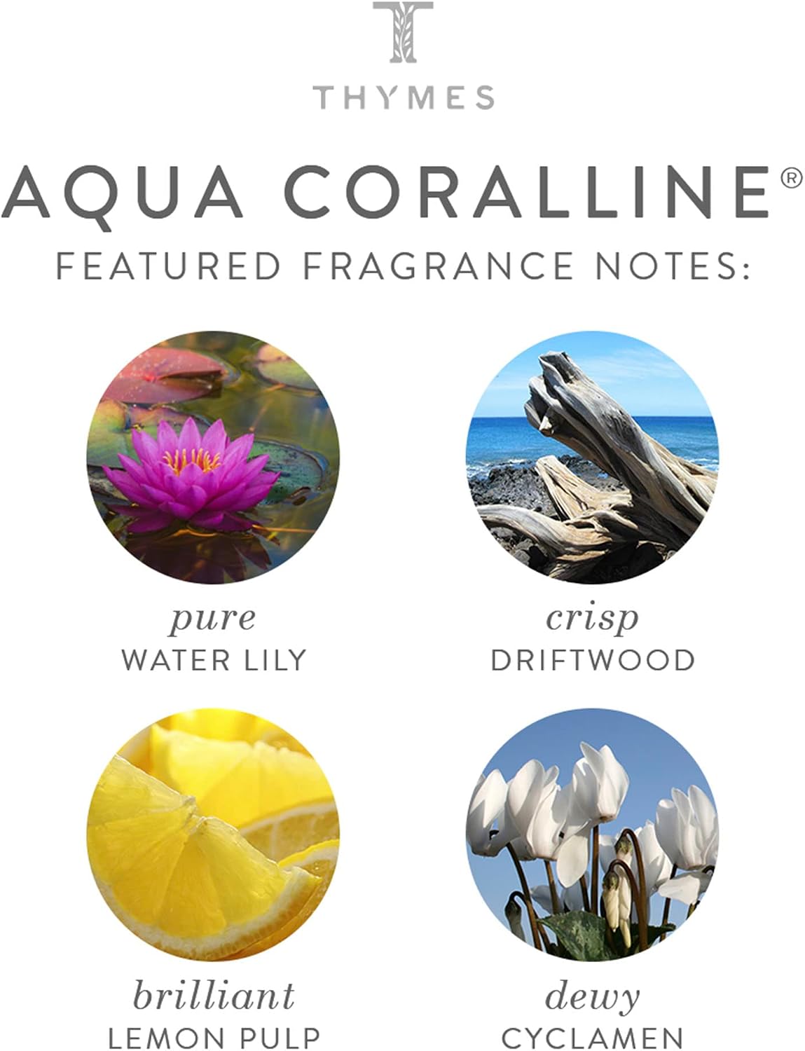 Thymes Home Fragrance Mist – Room Air Fresheners for Home Long Lasting – Air Freshener Spray – Premium Home Fragrance – Notes of Water Lily, Crips Driftwood, & Lemon Pulp (Aqua Coralline, 3 oz)